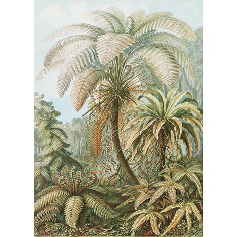 Fototapete Vliestapete Jungle 280x200cm