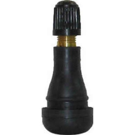 100 Valves de roues TR418