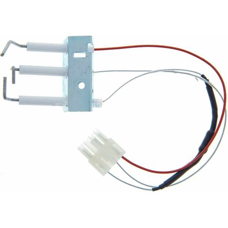 Ensemble Électrodes Appareil Fagor Feg11Db 810006484