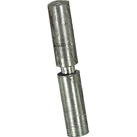 Cerniera tornita 16x100 mm.