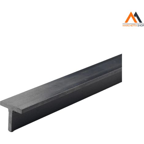 PROF T 20X20X4 FERRO NATURALE 2 MT