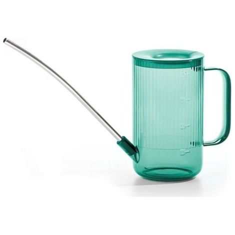 Arrosoir en Acier Inoxydable - Bec Long Amovible pour Plantes d'Intérieur (1/4)