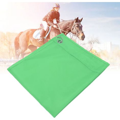 Ensemble de 2 Drapeaux d'Équitation pour Entraînement en Nylon Vert (1/5)