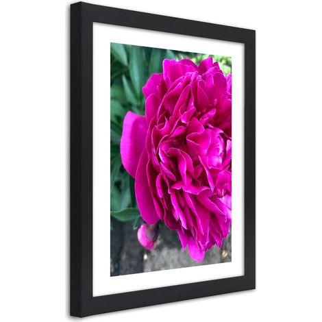 Quadro con cornice, Fiore grande rosa - 20x30 (1/5)