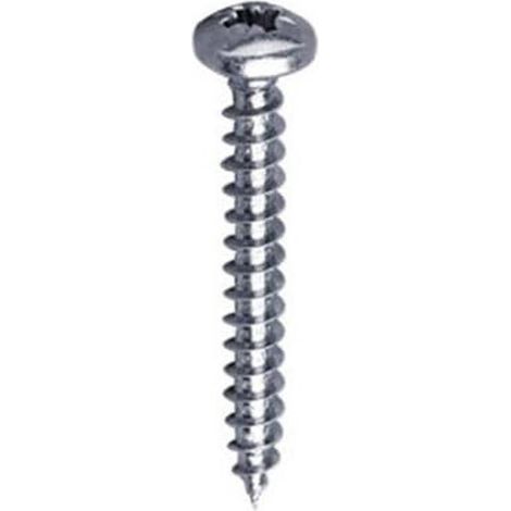500 Vis Tête Ronde Ph2 Zinguée Blanche - 5x40 mm - D-Work (1/2)