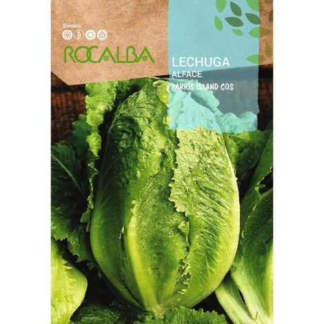 Rokalba Seeds Lecuga Parris Island cos 10 g