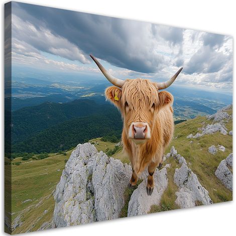 Tableau déco Vache écossaise des hautes terres Vache rocheuse Montagne 100x70 (1/5)