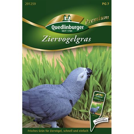 Quedlinburger Saatgut – Herbe pour oiseaux d'ornement – Graines fourragères, pâturin et dactyle, pour env. 10 pots (1/2)
