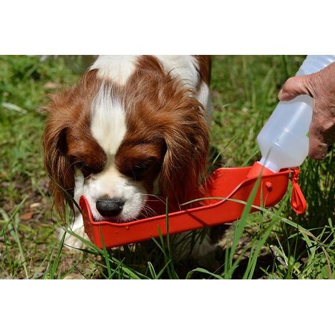 Gourde-bouteille de voyage pour chien ou chat (1/5)