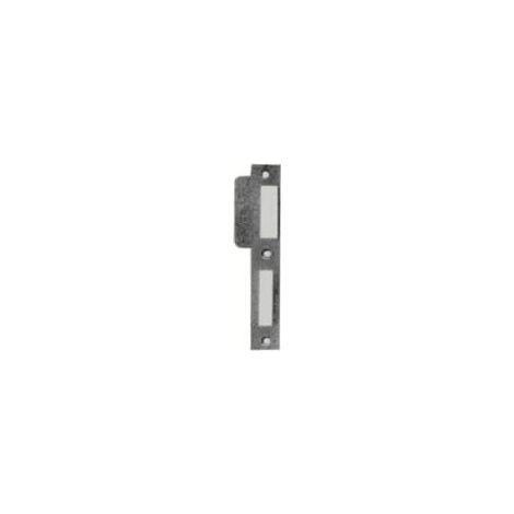 Piastra Chiusura In Argento 170X24X2 Porta