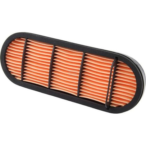 Filtro LANDINI 3695442M92 (1/3)