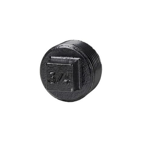 Dolle Abdeckstopfen für Pipe-Regalsystem 20 mm (3/4) schwarz matt 2 Stück