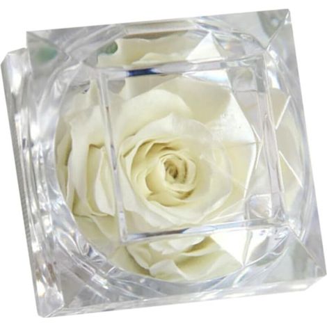 Decorazioni nuziali in cristallo con cuori. Decorazioni per donne. Rosa stabilizzata. (1/5)