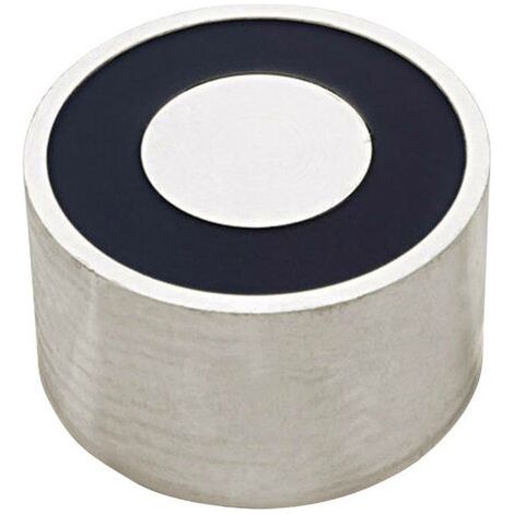 RED MAGNETICS Electroaimant aimanté (état hors tension) 720 N 24 V/DC 15 W ITS-PE7045-24VDC S78945 (1/5)