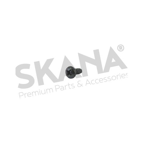 Vis Cruxiforme Typ Parker Maße: 5,5 x 13 mm. Herkunft: Stiga.