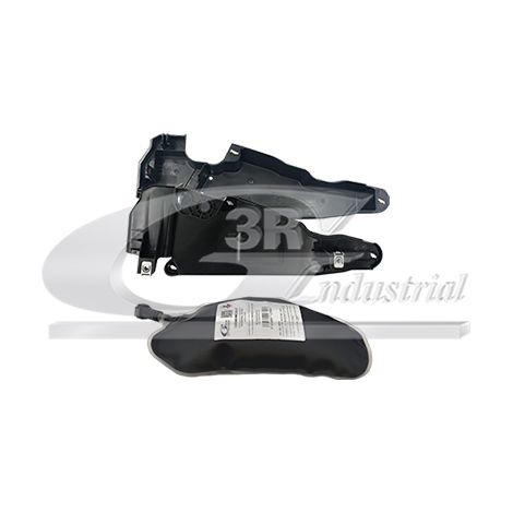3RG 89217LD CÃƒÆ’Ã‚ÂRTER Y BOLSA DPF (1,10L)