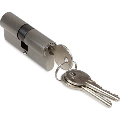 Cylindre serrure type poire pour portes 30 x 30, embrayage simple, cylindre serrure 5 pitons, came longue, 3 clés, nickel satiné, (1/4)