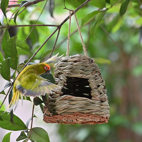 Temus beliebtes, handgefertigtes Strohvogelnest, ein kreatives, handgewebtes Hängevogelnest für den Sommer. (1/5)