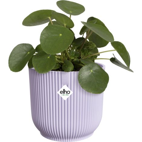Vaso Vibes Fold Round D16 x H15 cm Lilla Tenue ELHO