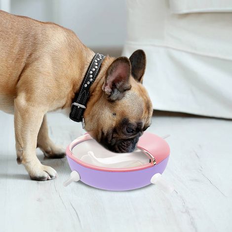 Distributeur de lait en silicone souple pour chiots et chatons, idéal pour nourrir les petits animaux de compagnie.