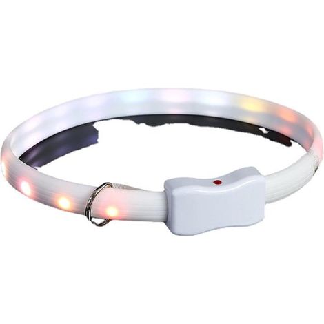 Collare per cani illuminato a LED - Ricaricabile tramite USB e fosforescente (1/5)