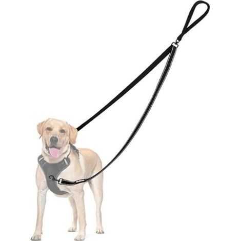 Laisse pour chien - Laisse à double attache - Anti-traction - Réfléchissante - Pour chiens moyens et grands - Noire (1/5)