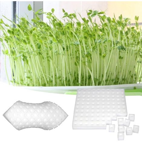 Filiyano-100 pots carrés pour semis de champignons, outils de jardinage pour serre, pour la croissance de petits bourgeons ou la culture de semis (1/5)