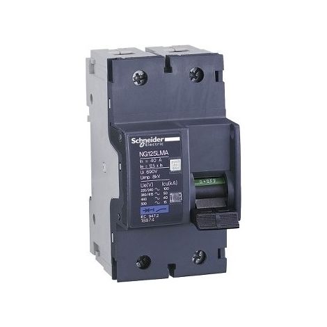 Schneider 18875 Motor circuit breaker NG125LMA 63A 2P 2D