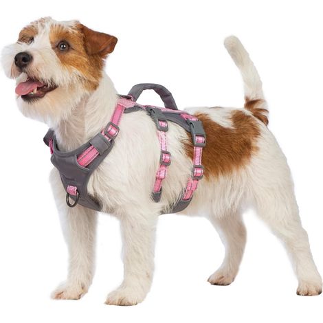 Harnais Chien, Réfléchissant Anti Fugue, Anti Traction avec Poignée, Respirant, Réglable pour Chiens Moyens et Grands (Rose Clair, XS) (1/5)