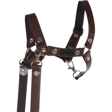 Cavezza per cavallo da compagnia con redini, in ecopelle, marrone