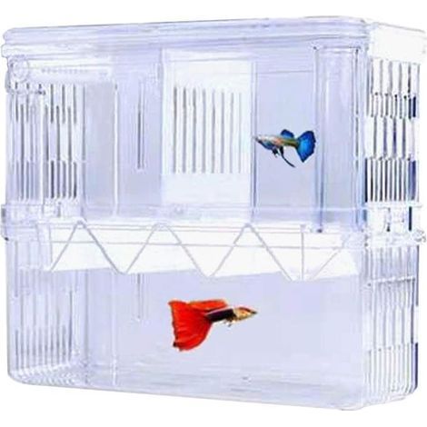 Fish Breeding Box Acrylic Floating Isolation Box Double Layer Breeding Incubator Aquarium Breeding Trap Separator Container with Suction CupsL (1/5)