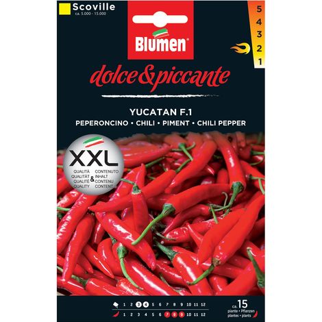 Yucatan-Pfeffersamen im Umschlag (1/4)