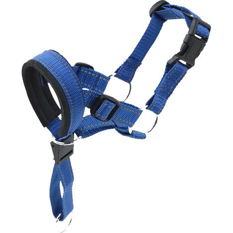 Muselière souple pour chien, aérée et confortable (1/5)