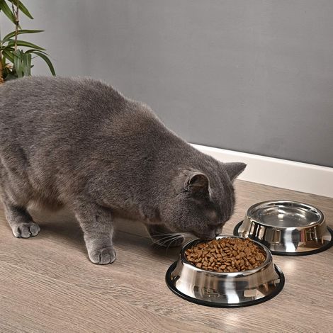 Set aus 2 Edelstahl-Hundenäpfen mit rutschfestem Gummiboden, geeignet für kleine/mittelgroße/große Haustiere, perfektes Geschirr, Futter- und Wassernapf für Welpen und Katzen (22 cm).