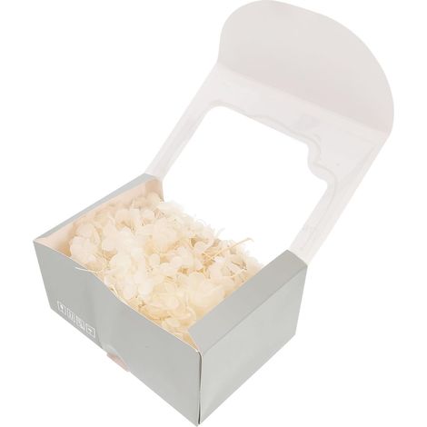 Kit Fleurs Pressées Soi-même Matériaux de Fleurs Séchées Blanches, Boîte Pratique pour Décoration Mariage et Fêtes, Léger et Délicat Couleur (1/5)