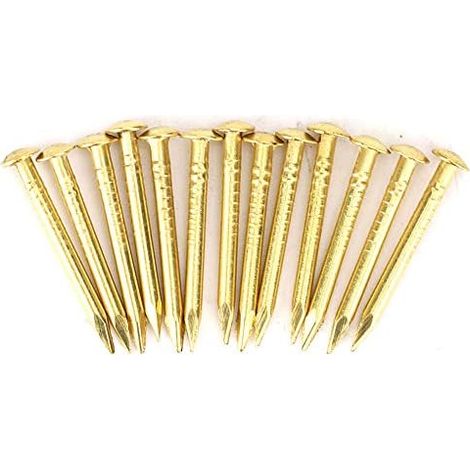 Lot de 100 Clou Laiton, Clous de Rosace en Laiton, Clous de Rosace à Tête Ronde en Laiton pour Bois, Miroir de Cadre Photo Suspendu, Accessoires de Quincaillerie de Charnière (18 mm de Long) (1/5)