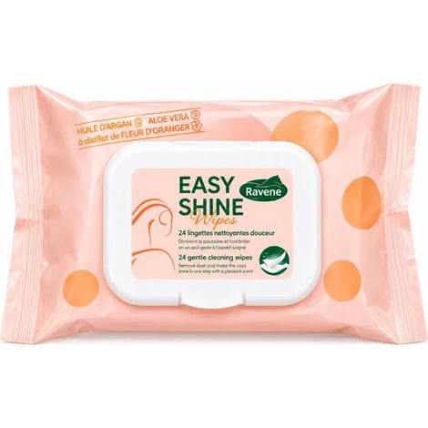 Easy shine whipe (1/4)
