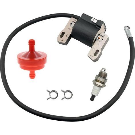 Bobine d'allumage compatible avec moteurs monocylindres Briggs & Stratton 7-16HP, remplace 398811, 395492, 395326 et 398265. (1/4)