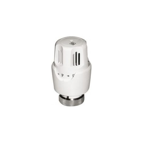 Thermostatischer Kopf mit Wachsdehnung