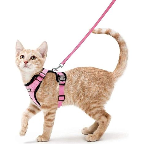 – Harnais pour chat et petit chien XS – Réglable rose – Bandes réfléchissantes pour visibilité nocturne – Attache supérieure avec laisse