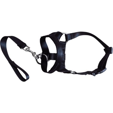 Harnais de dressage souple anti-traction pour chiens, taille L (1/5)