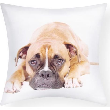 Housses de coussin - AVIZAR - Lot de 2 - 40x40 cm - Motif Chien Boxer - Synthétique (1/5)