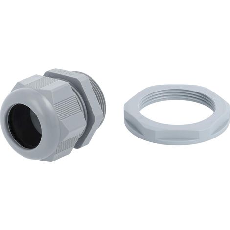 STEX24 Presse-étoupe en PA avec contre-écrou - marque distributeur STEX24 PG29x1588 VPE 25 Polyamide (PA) Longueur de filetage 10,0 mm - 1 Stück