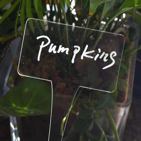 Lot de 12 étiquettes transparentes en acrylique pour plantes en pot d'extérieur, jeunes plants d'arbres fruitiers, décoration de jardin