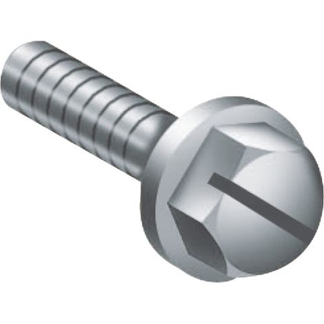 Spacial Thalassa vis M6x18mm + rondelle SCHNEIDER AF1VA618 (1/3)