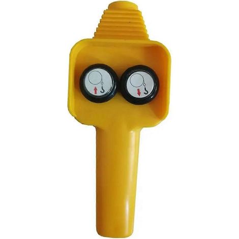 Treuil électrique 12V/24V, petite grue, télécommande, poignée, accessoires, grue pour voiture (1/5)