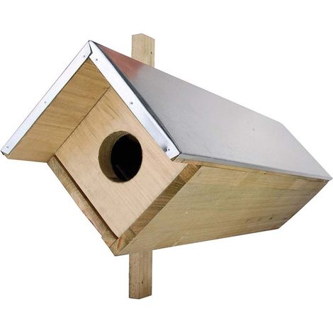 Nichoir chevêche d'athéna en bois pin – Dimensions L 31 x l 80,5 x H 52 cm – Abri pour chouettes – Fixation murale incluse – Best For Birds (1/6)