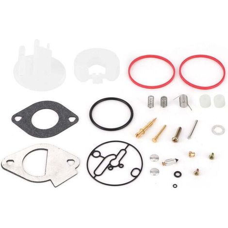 Kit de réparation de carburateur pour Briggs Stratton 796184 796081 790727 Master Overhaul Nikki (1/3)