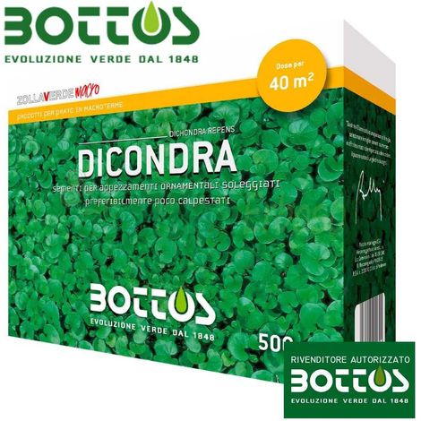 Graines de dichondra repens 500g – Gazon couvre-sol pour espaces ombragés – Faible entretien et tolérance à la chaleur – Bottos