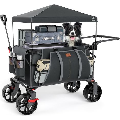 Chariot de Plage Pliable XXL de 225 L à 150 kg avec Frein et Toit - Chariot de Plage avec Roues de 20x9 cm - pour Camping, Plage, Courses, Gris (1/5)